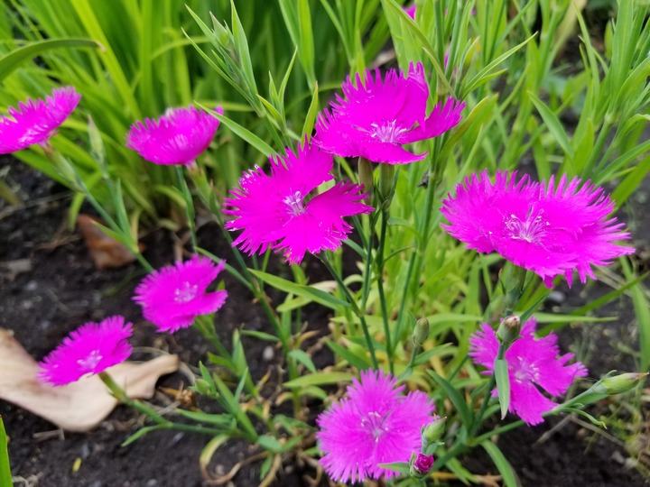 20190618_162734