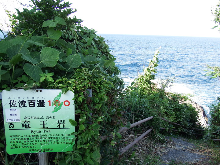 DSCF8338