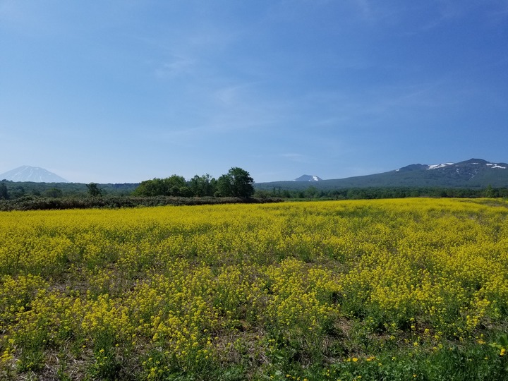 20190526_082424