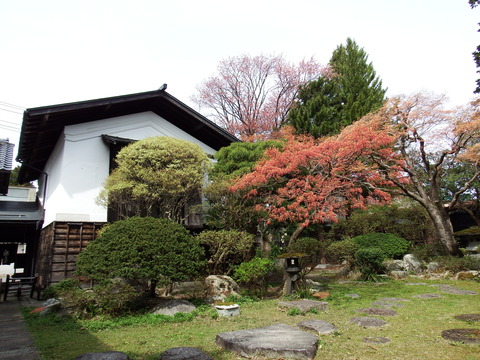 DSCF5214