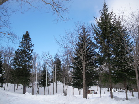 RIMG2945