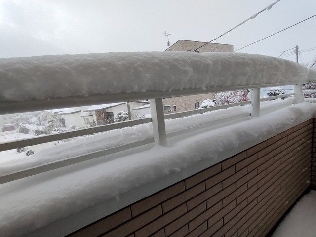 IMG20231125101205