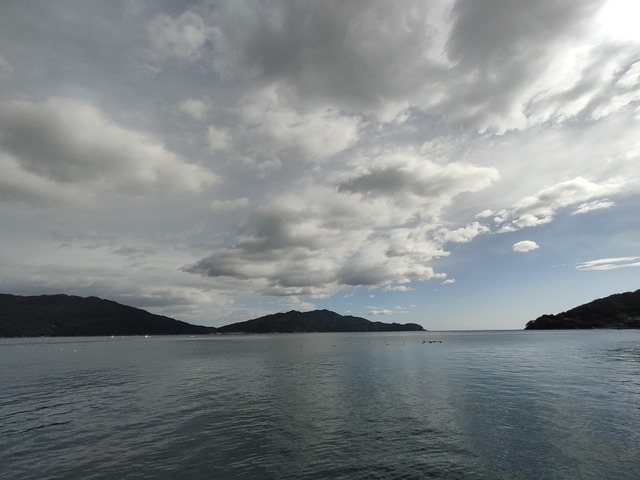 IMG20231017091829