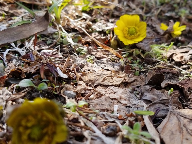 IMG_20210310_123107
