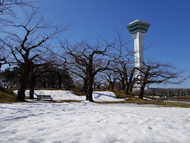 IMG_20210309_110620