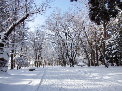 DSCF7191
