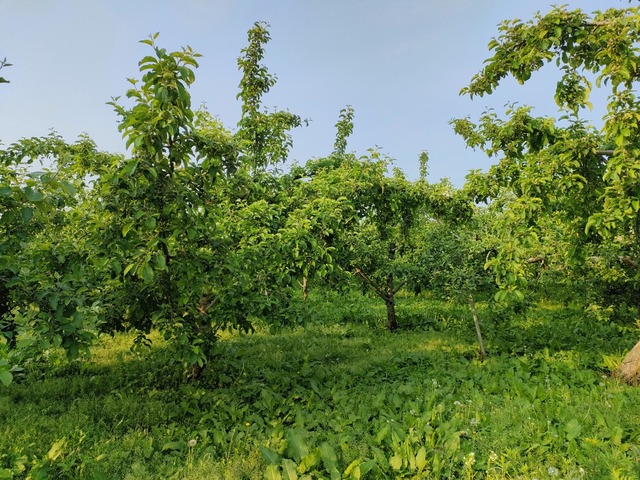 IMG20230527061349