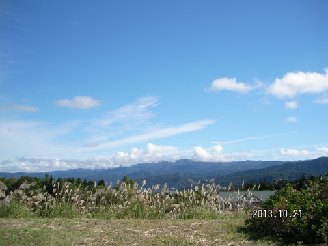 RIMG2597