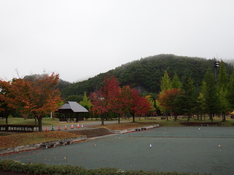 DSCF7082