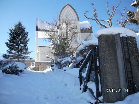 RIMG2831