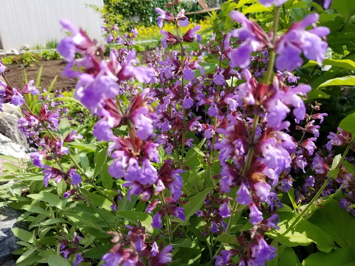 20190619_082454