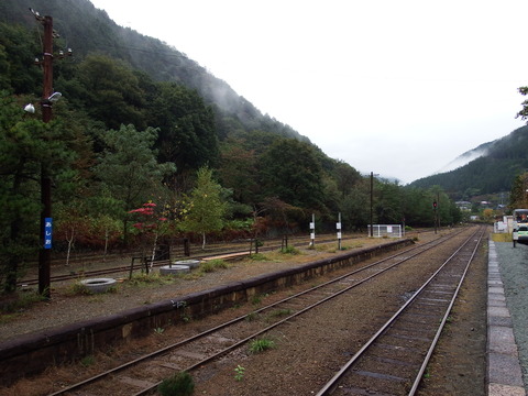 DSCF7081