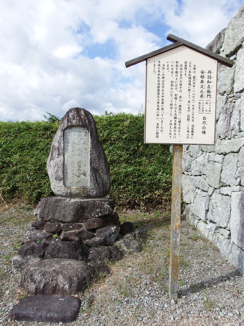 DSCF7099