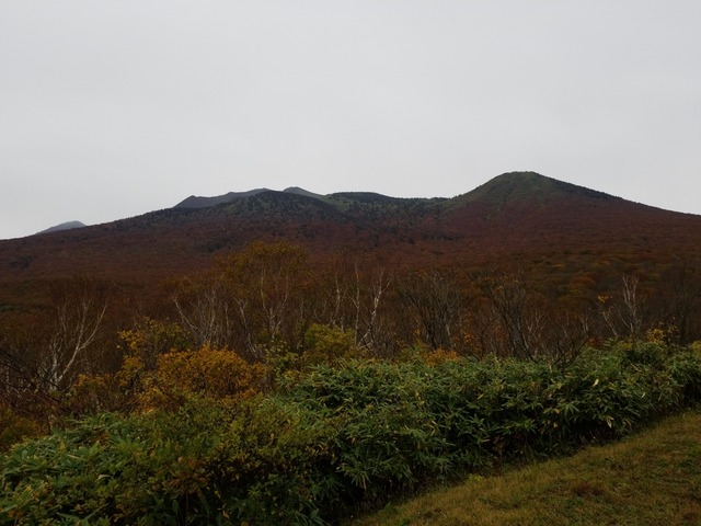 IMG_20211016_093518