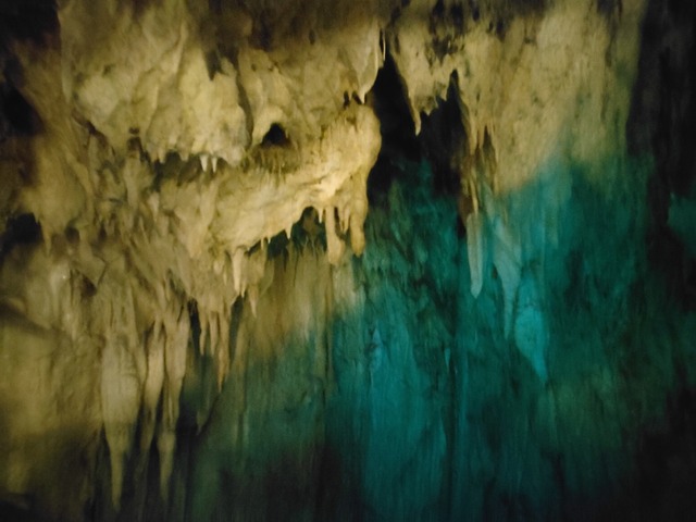 IMG20230420104134