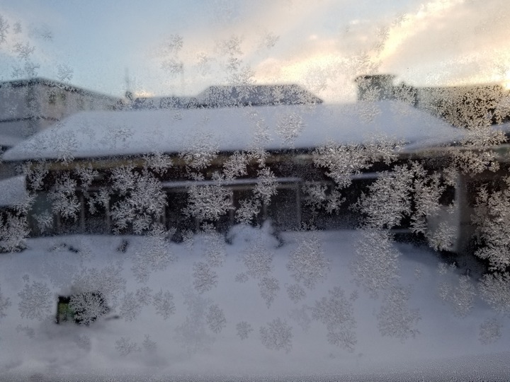 20190108_072749