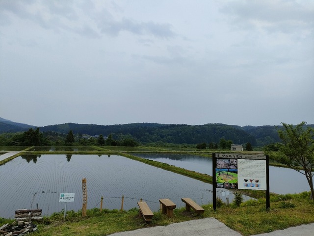 IMG20230519081845