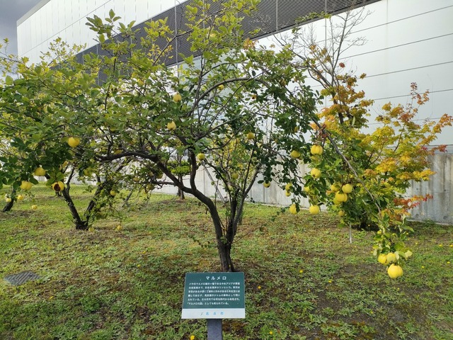 IMG20260915142245