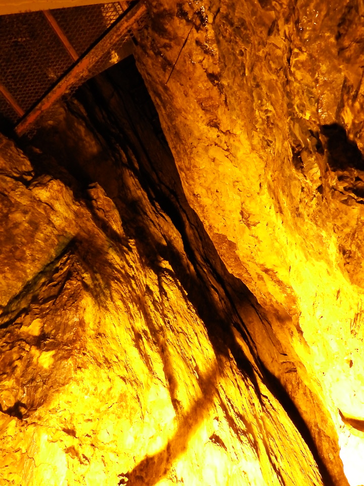 DSCF8831