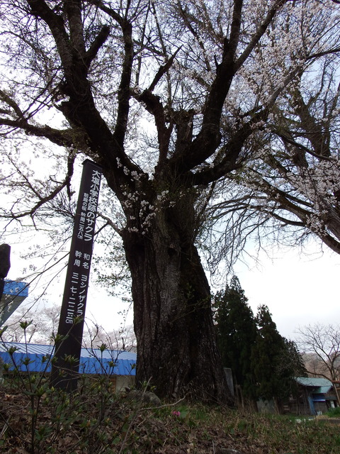 DSCF5033