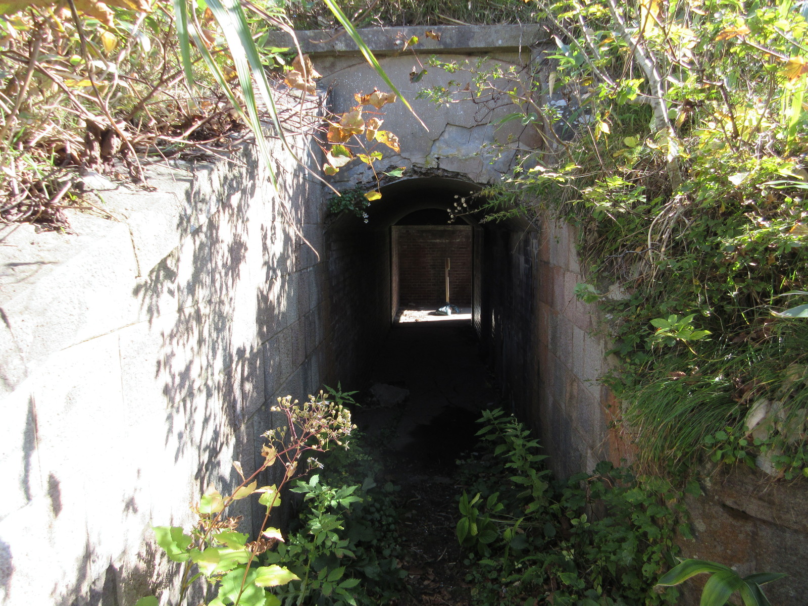 函館山要塞 半世紀間一度も大砲を撃つことなし 実戦では役に立たず 函館発 ぼうけんの旅 函館山要塞 半世紀間一度も大砲を撃つことなし 実戦では役に立たず 函館発 ぼうけんの旅