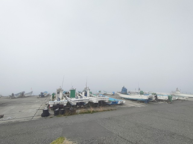 IMG20250708072744