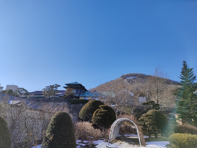 IMG20240128094242
