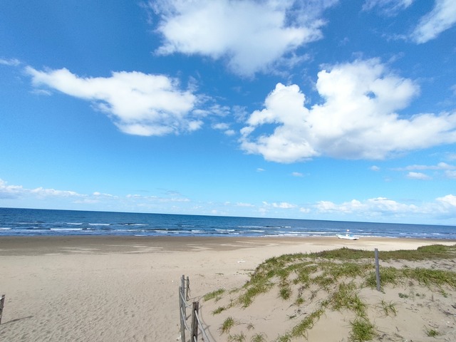 IMG20241011110734