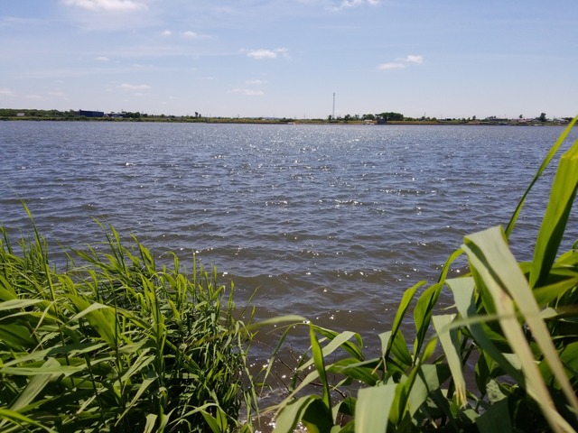 IMG_20210715_100417