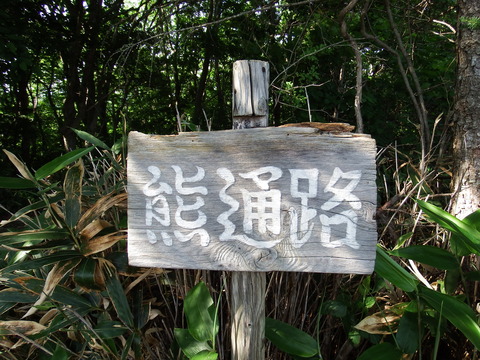 DSCF7308