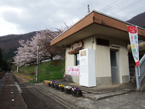 DSCF5144