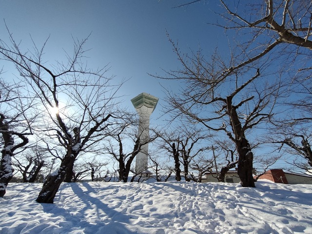 IMG20230209092957