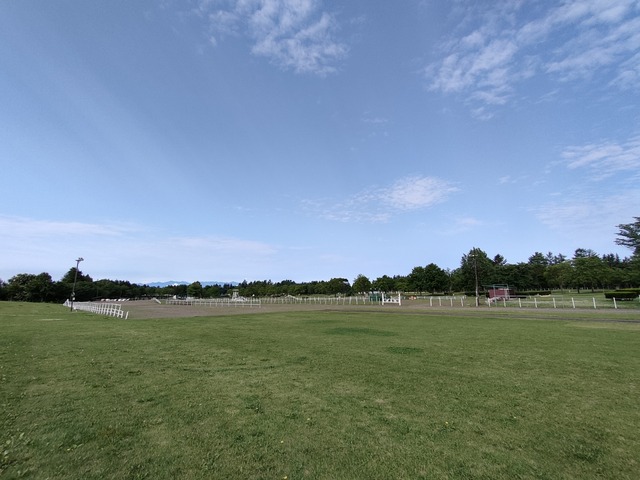 IMG20240709073721