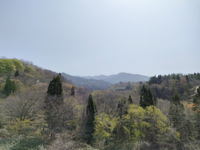 IMG20230421093022