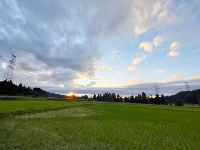 IMG20241005170554
