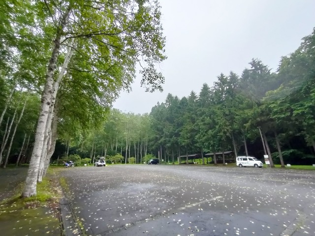 IMG20250707053605