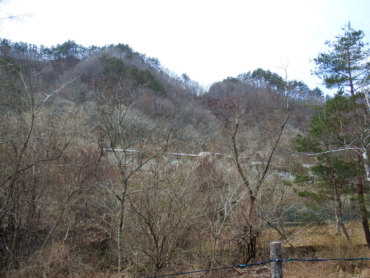 DSCF7826