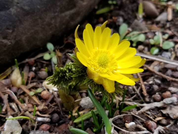 20190314_123128