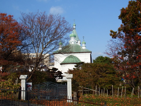 DSCF7595
