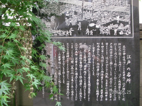 RIMG3867