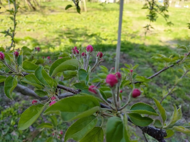 IMG20230423073111