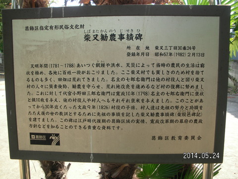 RIMG3806