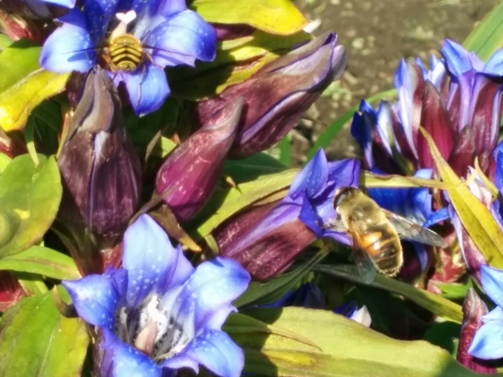 [画像:764c24b1-s.jpg]