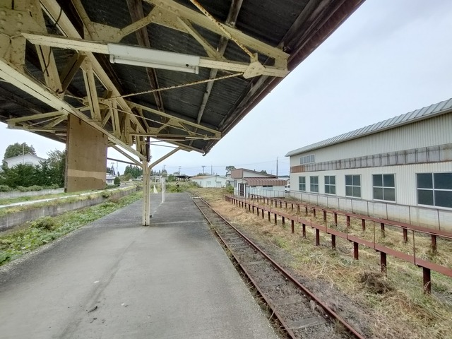 IMG20231021085806