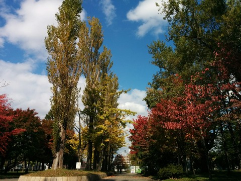 [画像:76a1897b-s.jpg]