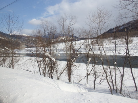 DSCF4214