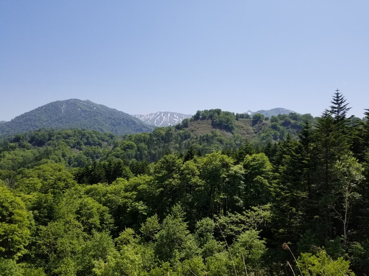 20190527_130328