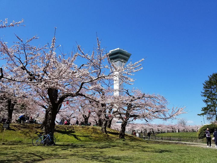 20190428_104029
