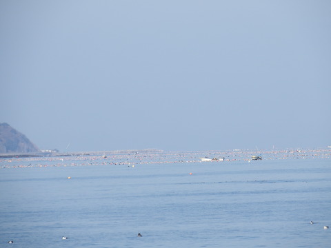 DSCF3584