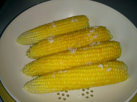 [画像:788b62db-s.jpg]